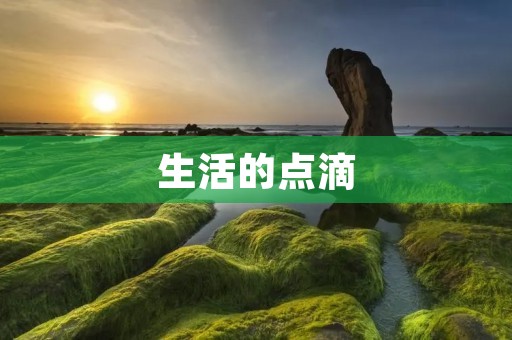 生活的点滴：一天的随笔