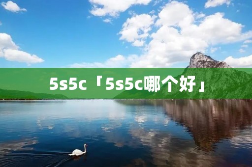 5s5c「5s5c哪个好」 5s5c「5s5c哪个好」