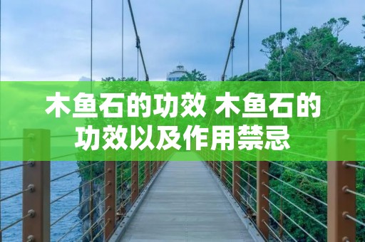 木鱼石的功效 木鱼石的功效以及作用禁忌