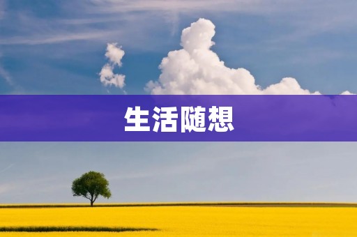 生活随想：在喧嚣的都市中，寻找内心的宁静