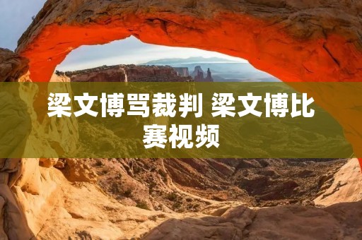 梁文博骂裁判 梁文博比赛视频
