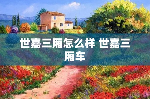 世嘉三厢怎么样 世嘉三厢车