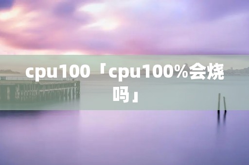 cpu100「cpu100%会烧吗」 cpu100「cpu100%会烧吗」