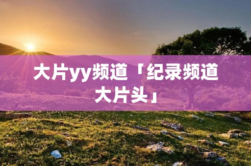 大片yy频道「纪录频道大片头」