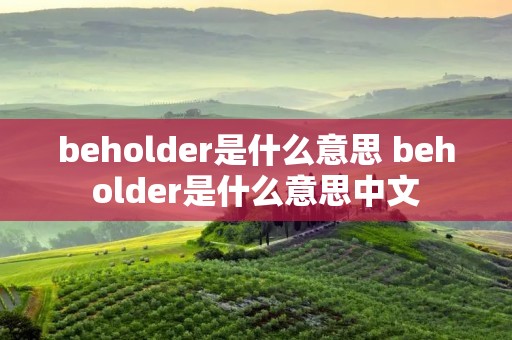 beholder是什么意思 beholder是什么意思中文