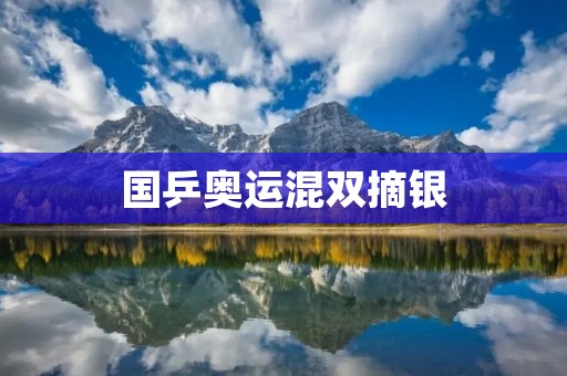国乒奥运混双摘银:中国乒乓球队再次展现实力与拼搏精神 国乒奥运混双摘银:中国乒乓球队再次展现实力与拼搏精神
