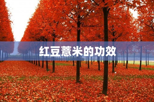 红豆薏米的功效：美容养颜、健脾利湿、降脂减肥、益气养血