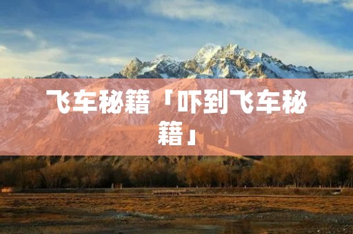 飞车秘籍「吓到飞车秘籍」