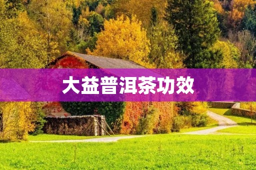 大益普洱茶功效：探索普洱茶的健康奥秘