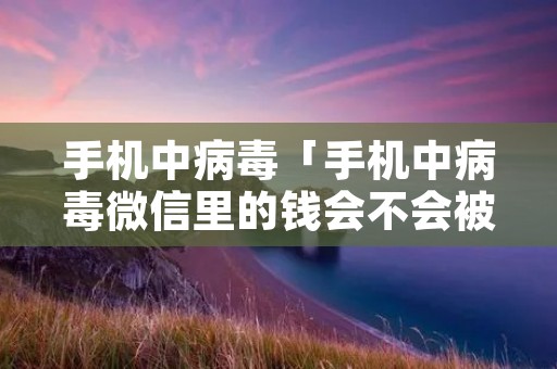 手机中病毒「手机中病毒微信里的钱会不会被盗」