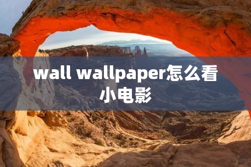 wall wallpaper怎么看小电影