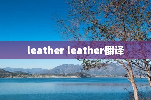 leather leather翻译