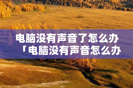 电脑没有声音了怎么办「电脑没有声音怎么办一键修复」 电脑没有声音了怎么办「电脑没有声音怎么办一键修复」