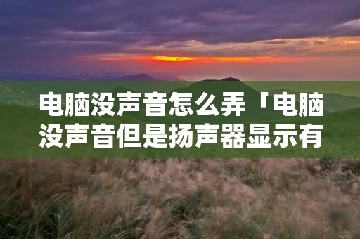 电脑没声音怎么弄「电脑没声音但是扬声器显示有声音」