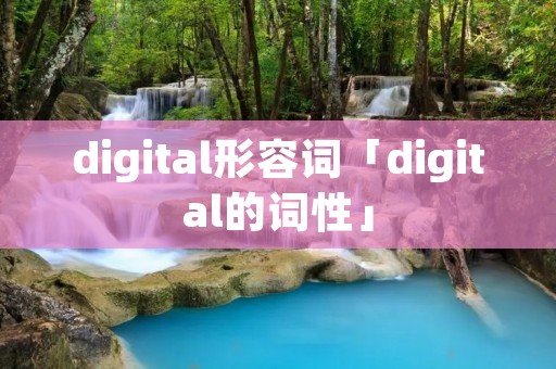 digital形容词「digital的词性」