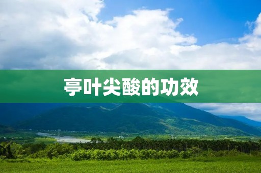 亭叶尖酸的功效：探索这一神奇植物的健康奥秘