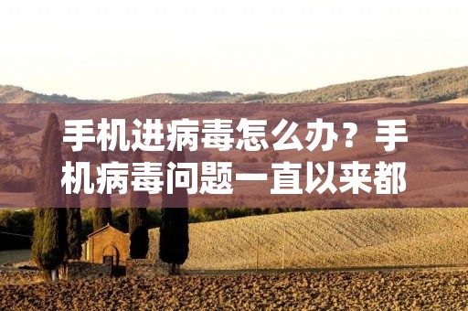 手机进病毒怎么办？手机病毒问题一直以来都备受关注，随着智能手机的广泛普及，手机病毒的威胁也日益增加。一旦手机感染了病毒，不仅会导致手机运行缓慢，还可能泄露个人隐私或造成财产损失。那么，当你的手机进病毒时，应该怎么办呢？