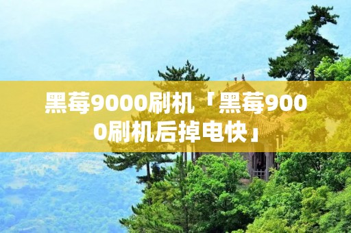 黑莓9000刷机「黑莓9000刷机后掉电快」