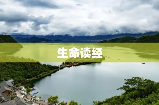 生命读经：引领心灵的智慧之光