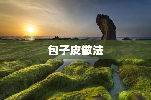 包子皮做法:手把手教你做出口感软糯的包子皮 包子皮做法:手把手教你做出口感软糯的包子皮