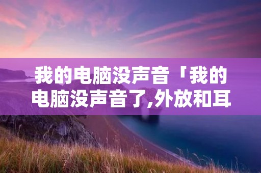 我的电脑没声音「我的电脑没声音了,外放和耳机都没有」