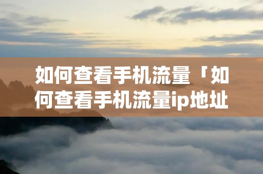 如何查看手机流量「如何查看手机流量ip地址」