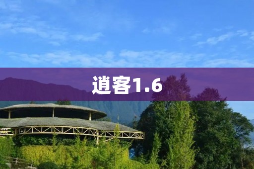 逍客1.6:为你带来更强劲的驾驶体验 逍客1.6:为你带来更强劲的驾驶体验