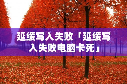 延缓写入失败「延缓写入失败电脑卡死」