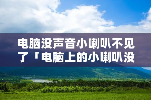 电脑没声音小喇叭不见了「电脑上的小喇叭没有了也没声音了怎么办?」 电脑没声音小喇叭不见了「电脑上的小喇叭没有了也没声音了怎么办?」