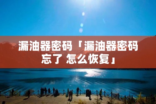 漏油器密码「漏油器密码忘了 怎么恢复」