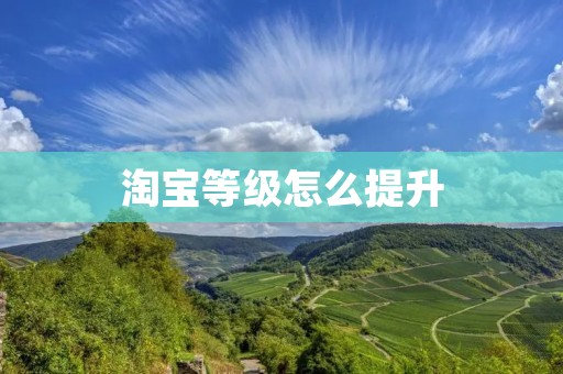 淘宝等级怎么提升