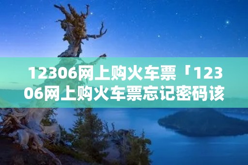12306网上购火车票「12306网上购火车票忘记密码该怎么办?」