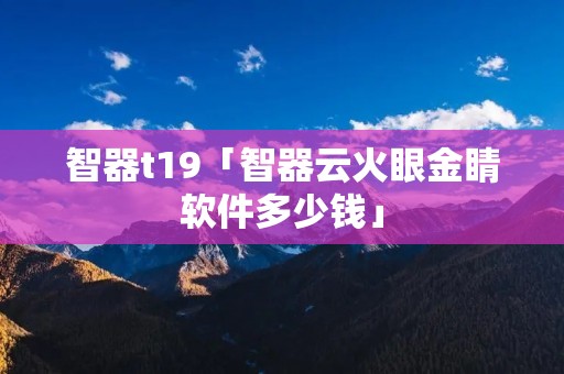 智器t19「智器云火眼金睛软件多少钱」 智器t19「智器云火眼金睛软件多少钱」