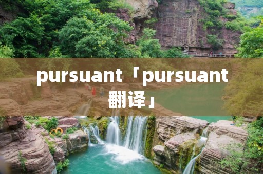 pursuant「pursuant翻译」