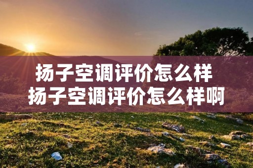 扬子空调评价怎么样 扬子空调评价怎么样啊 扬子空调评价怎么样 扬子空调评价怎么样啊