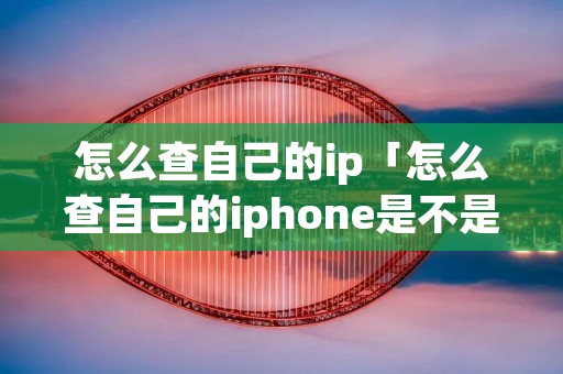 怎么查自己的ip「怎么查自己的iphone是不是真的」