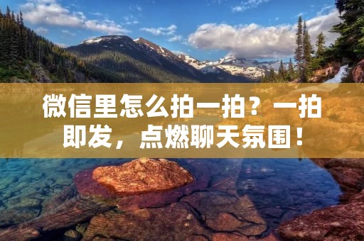 微信里怎么拍一拍？一拍即发，点燃聊天氛围！