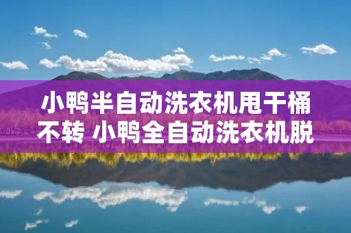 小鸭半自动洗衣机甩干桶不转 小鸭全自动洗衣机脱水不转 小鸭半自动洗衣机甩干桶不转 小鸭全自动洗衣机脱水不转