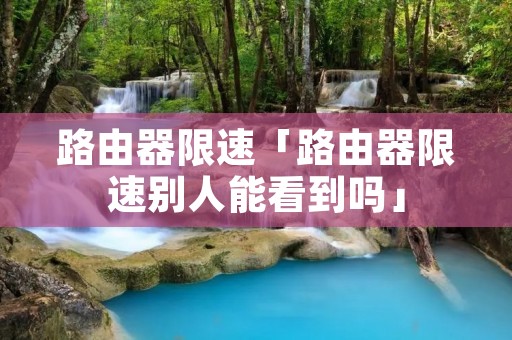 路由器限速「路由器限速别人能看到吗」
