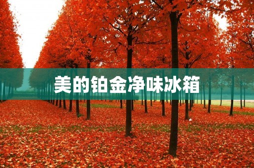 美的铂金净味冰箱：清新保鲜，让生活更美好