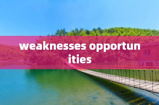 weaknesses opportunities