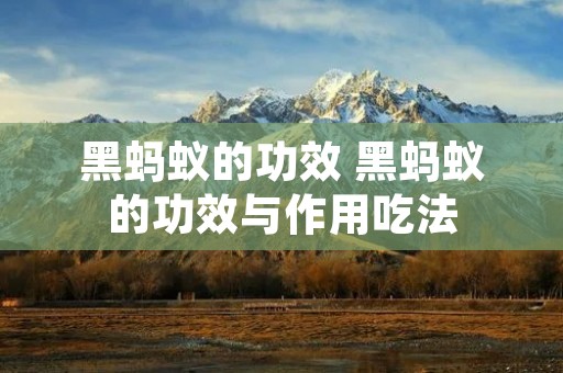 黑蚂蚁的功效 黑蚂蚁的功效与作用吃法