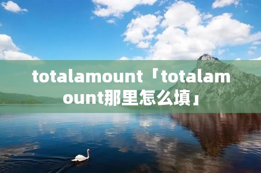 totalamount「totalamount那里怎么填」
