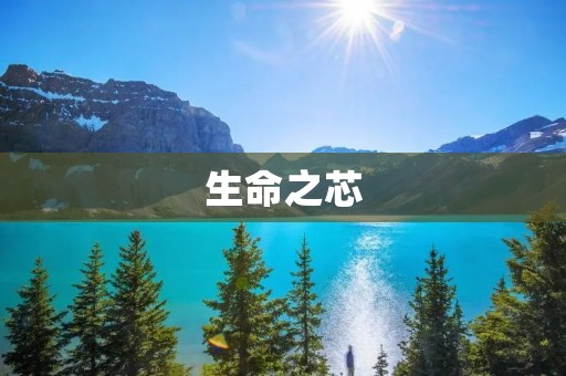 生命之芯:揭秘人类基因组解读的里程碑 生命之芯:揭秘人类基因组解读的里程碑