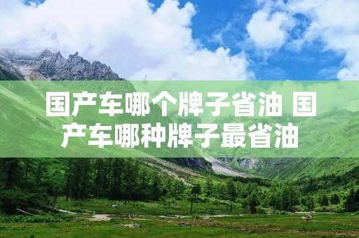 国产车哪个牌子省油 国产车哪种牌子最省油