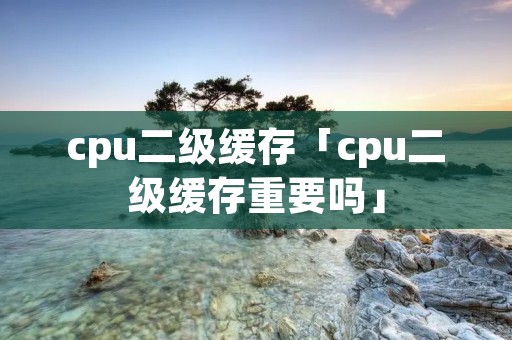 cpu二级缓存「cpu二级缓存重要吗」