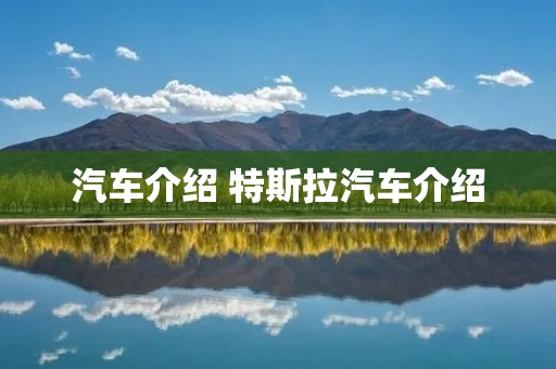 汽车介绍 特斯拉汽车介绍 汽车介绍 特斯拉汽车介绍