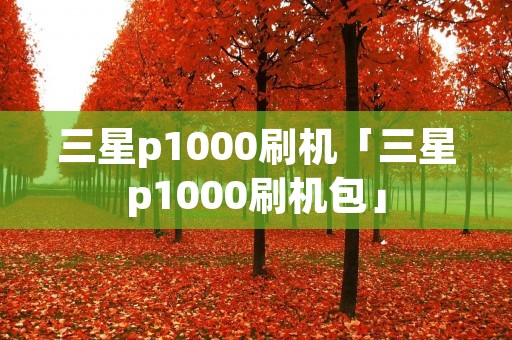 三星p1000刷机「三星p1000刷机包」