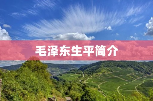 毛泽东生平简介
