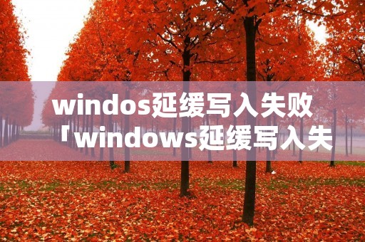 windos延缓写入失败「windows延缓写入失败」